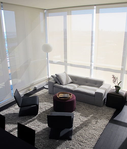 Luxurious living room - Montreal Interior Designer